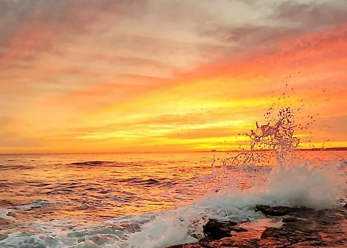 Sea Breeze - Sole * Bari