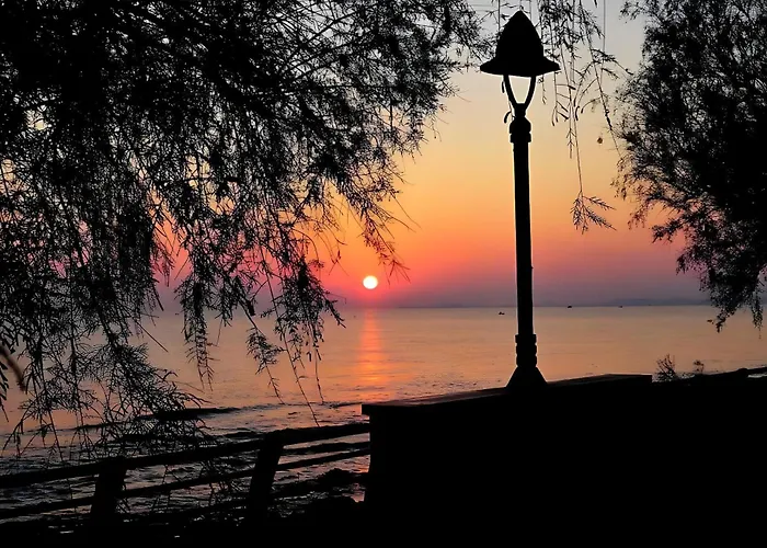 Sea Breeze - Sole Daire